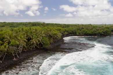 Sandee - Pohoiki Beach