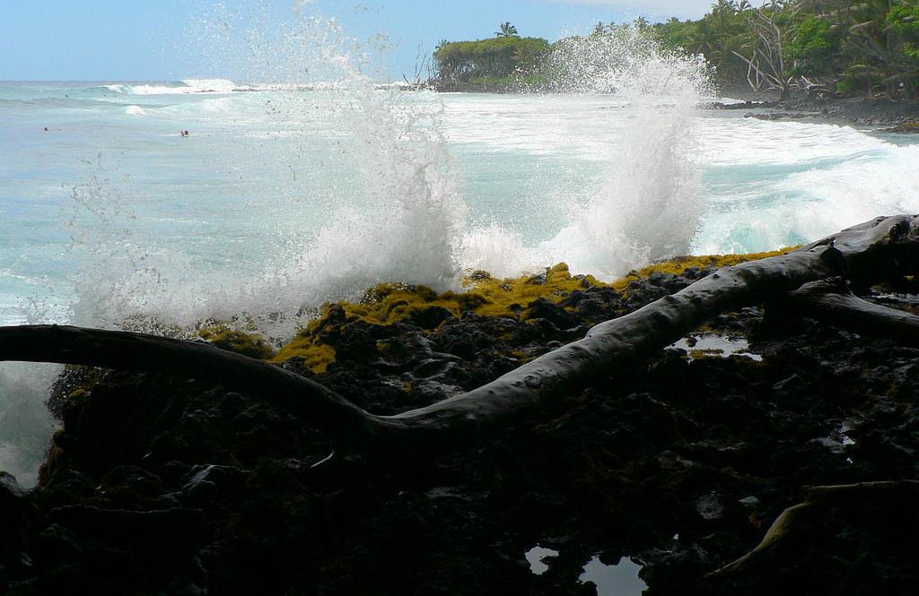 Sandee - Pohoiki Beach