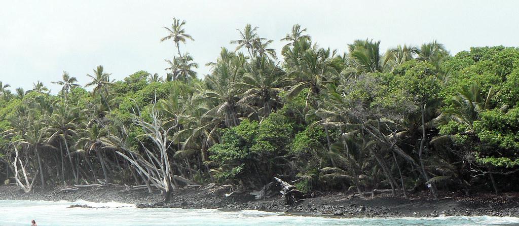 Sandee - Pohoiki Beach