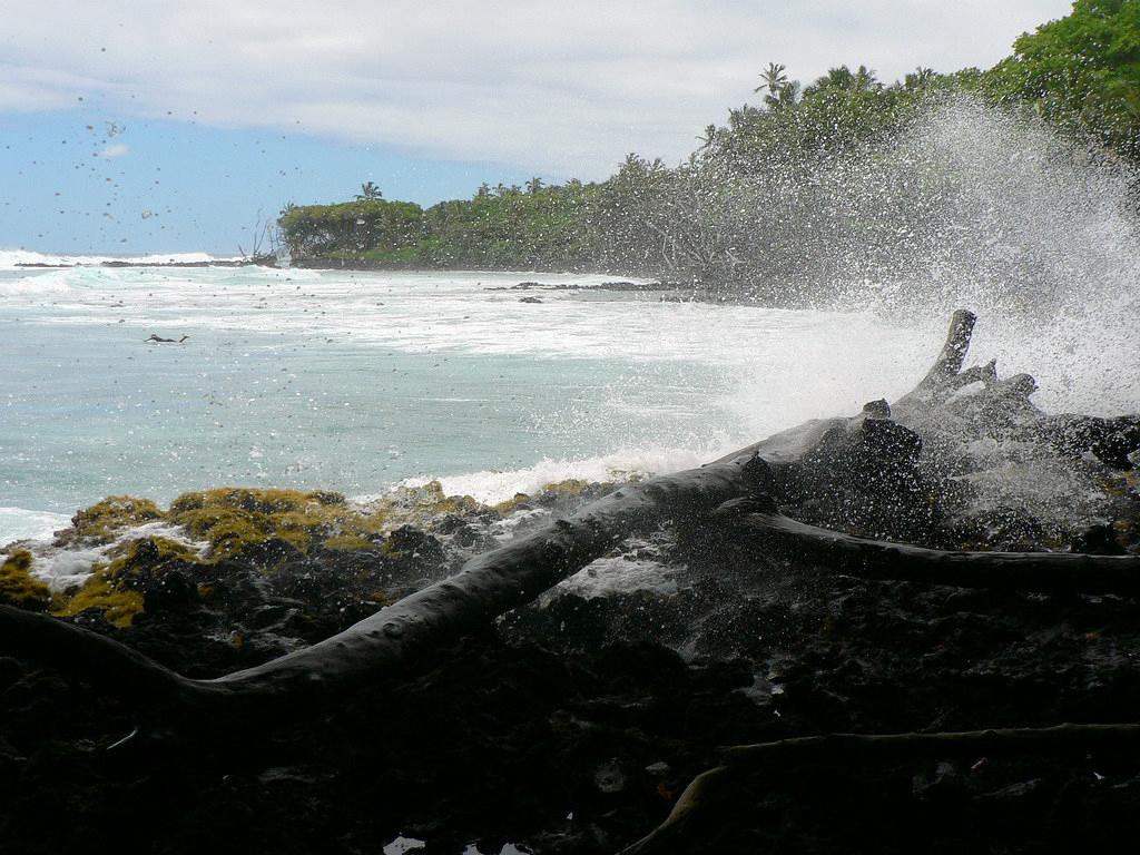 Sandee - Pohoiki Beach