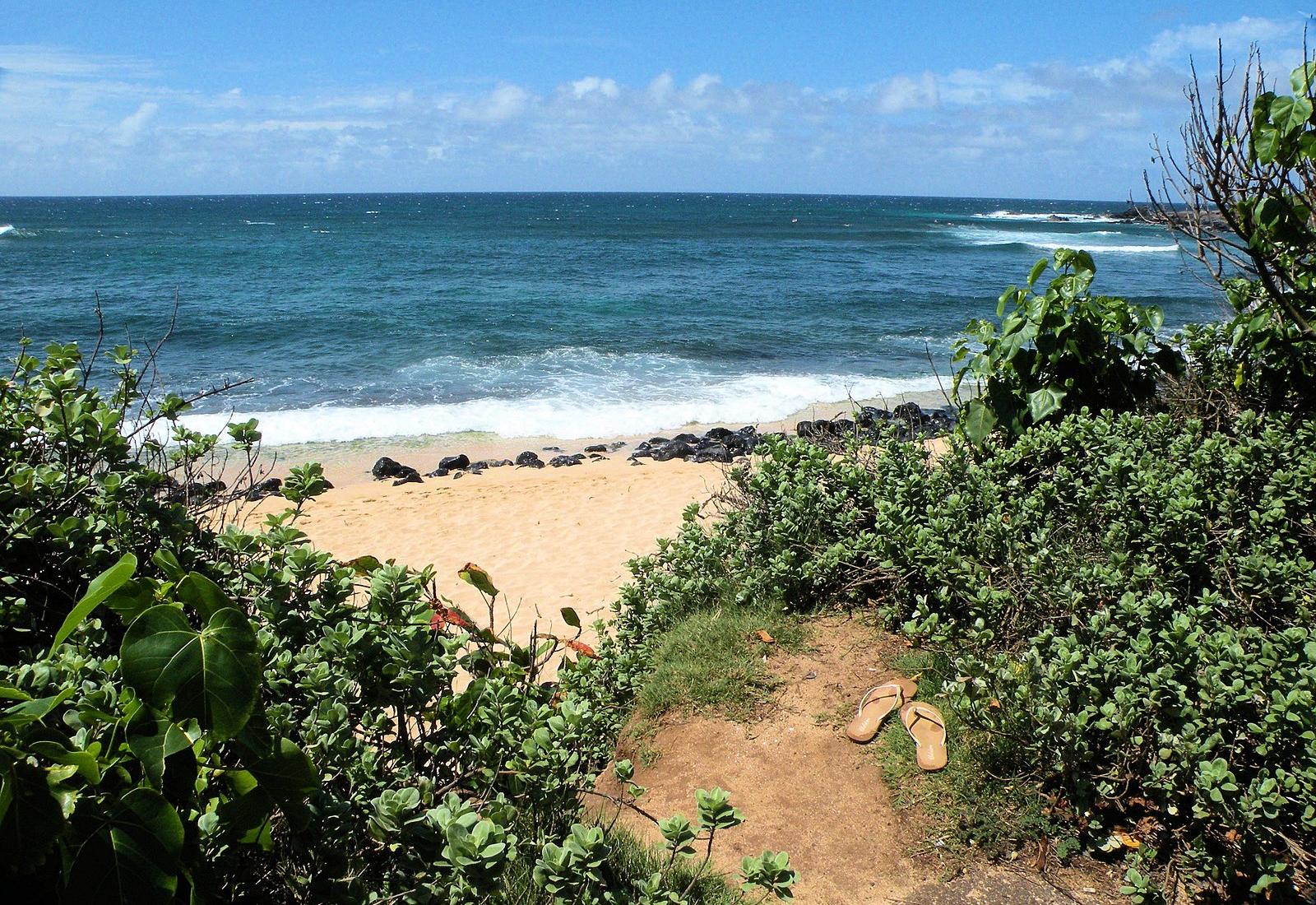 Sandee - Ho'Okipa Beach Park