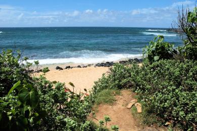 Sandee - Ho'Okipa Beach Park