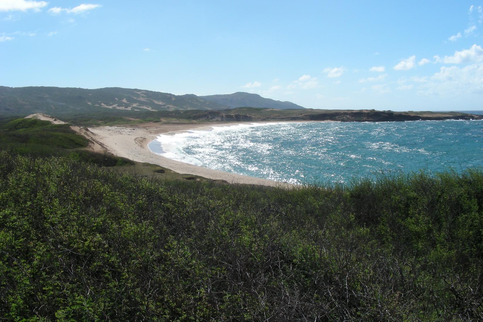 Sandee - Mo'Omomi Beach