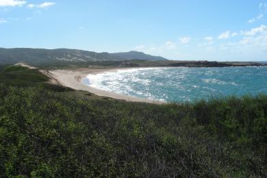 Sandee Mo'Omomi Beach Photo