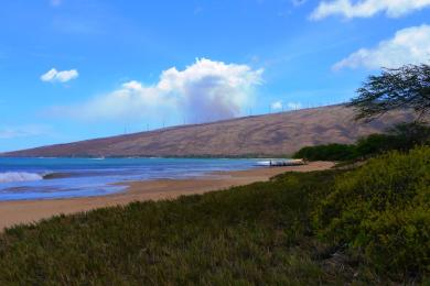 Sandee - Ma'Alaea Beach / Sugar Beach