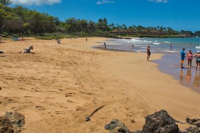 Sandee Poolenalena Beach Park Photo