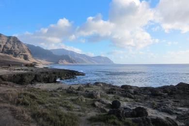 Sandee - Ka'Ena Point State Park