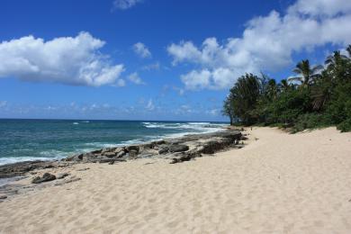 Sandee - Papailoa Beach