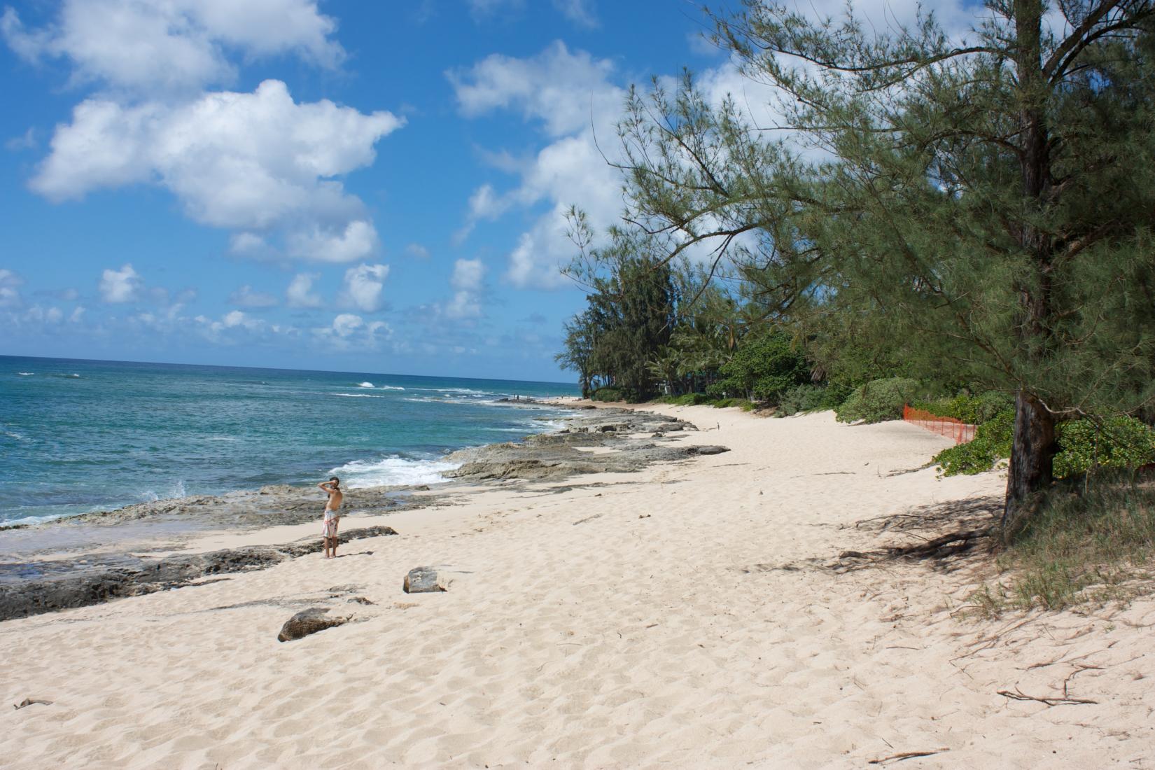 Sandee - Papailoa Beach