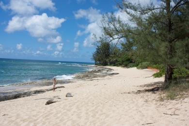 Sandee - Papailoa Beach