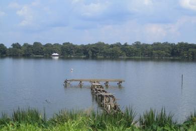 Sandee Lake Bruin Photo