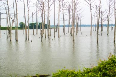 Sandee Poverty Point Reservoir Photo