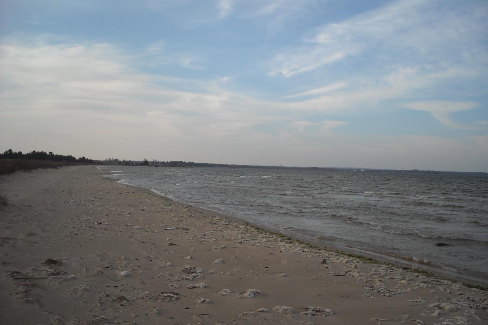 Sandee - Cheboygan State Park