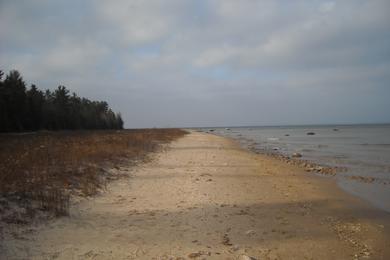 Sandee - Cheboygan State Park