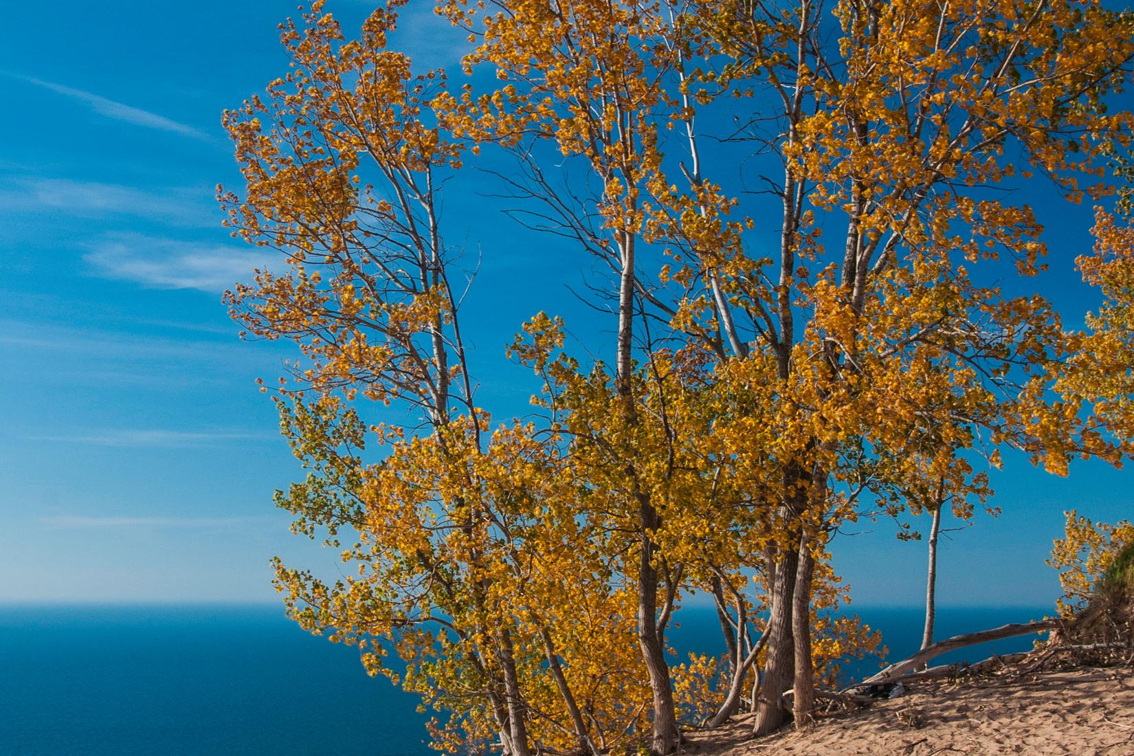 Sandee - Sleeping Bear Dunes - Cr 651 Strong Harbor Bay