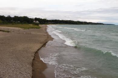 Sandee Lexington Beach