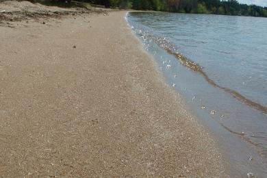 Sandee Mccarthy Beach State Park Photo