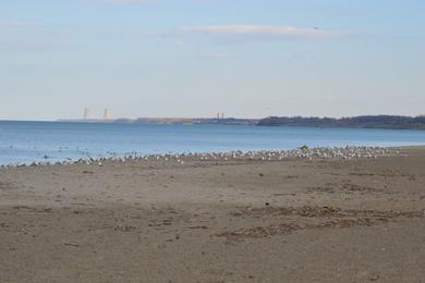 Sandee Fairport Harbor Photo