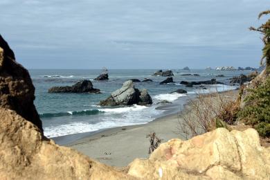 Sandee - Harris Beach State Park