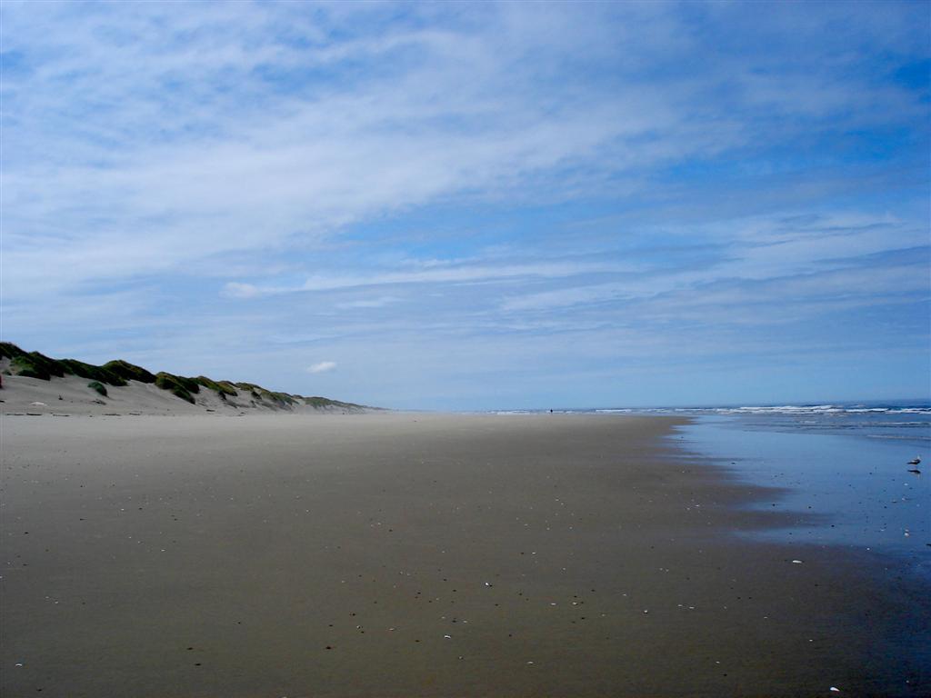 Sandee - Heceta Beach