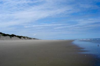 Sandee - Heceta Beach