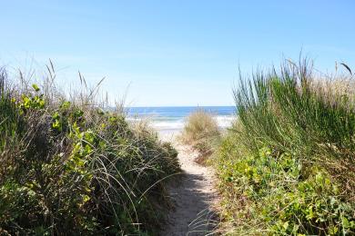 Sandee Manhattan Beach State Park Photo