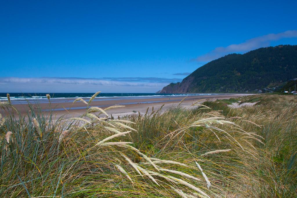 Sandee - Manzanita Beach