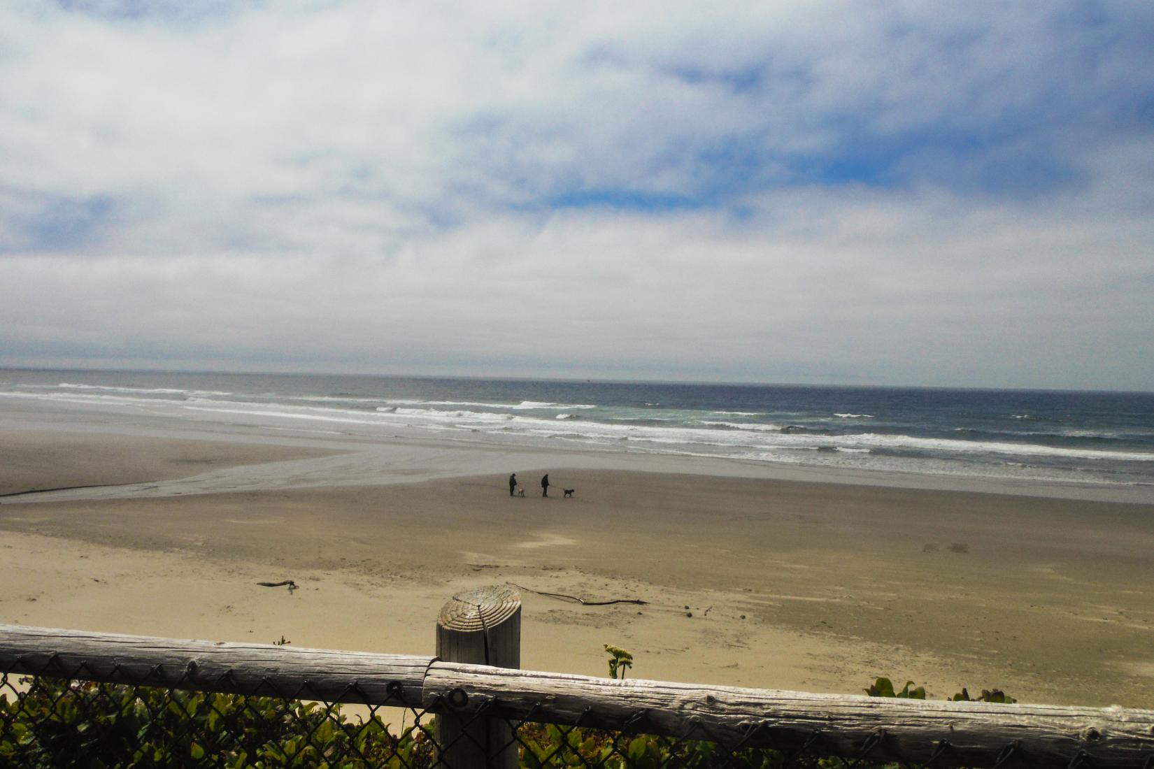 Sandee - Lost Creek Beach