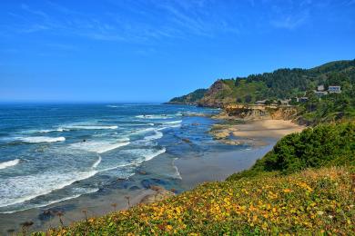 Sandee Otter Rock Beach Photo