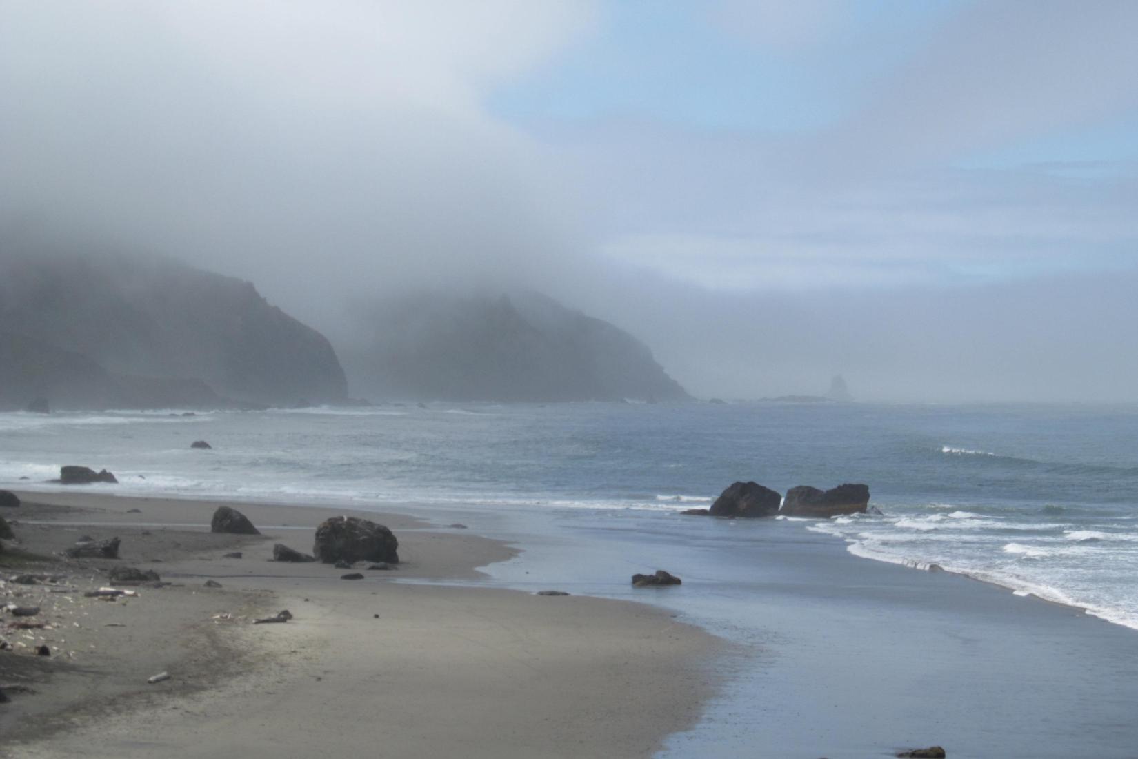 Sandee - Samuel H. Boardman State Scenic Corridor