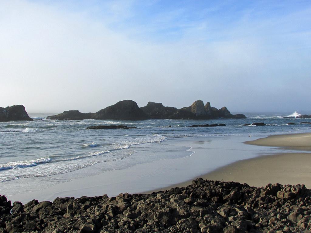 Sandee - Seal Rock State Recreation Site