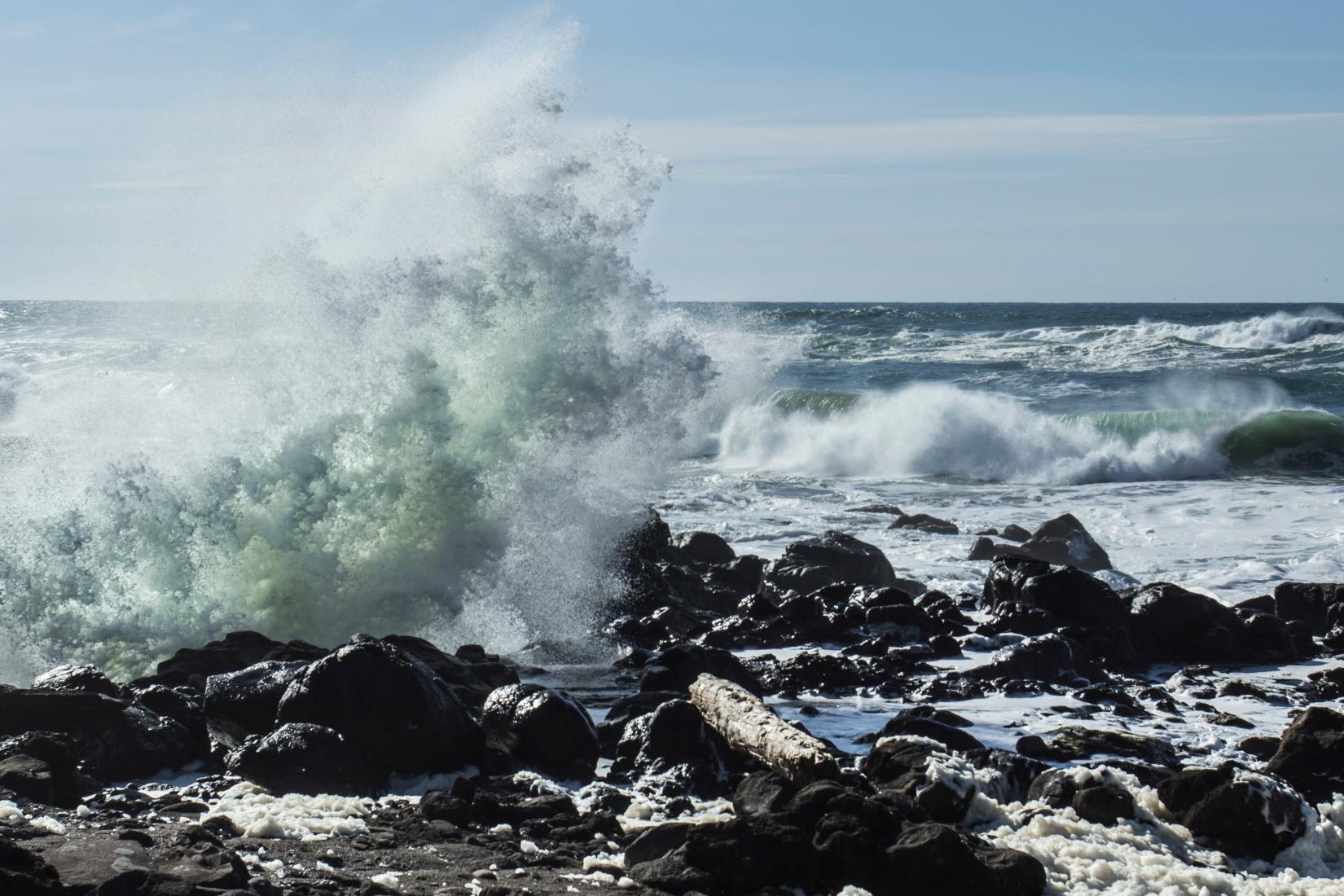 Sandee - Seal Rock State Recreation Site