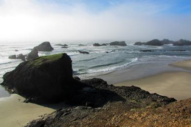 Sandee - Seal Rock State Recreation Site