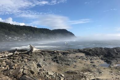 Sandee - Smelt Sands State Recreation Site