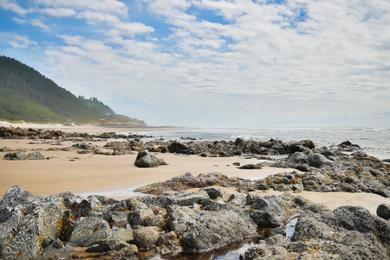 Sandee Stonefield Beach State Recreation Site Photo