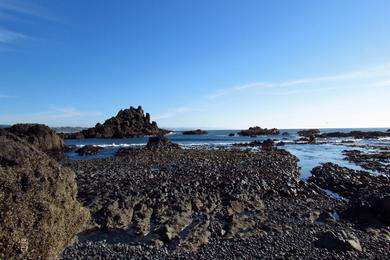 Sandee - Yaquina Bay State Park Beach