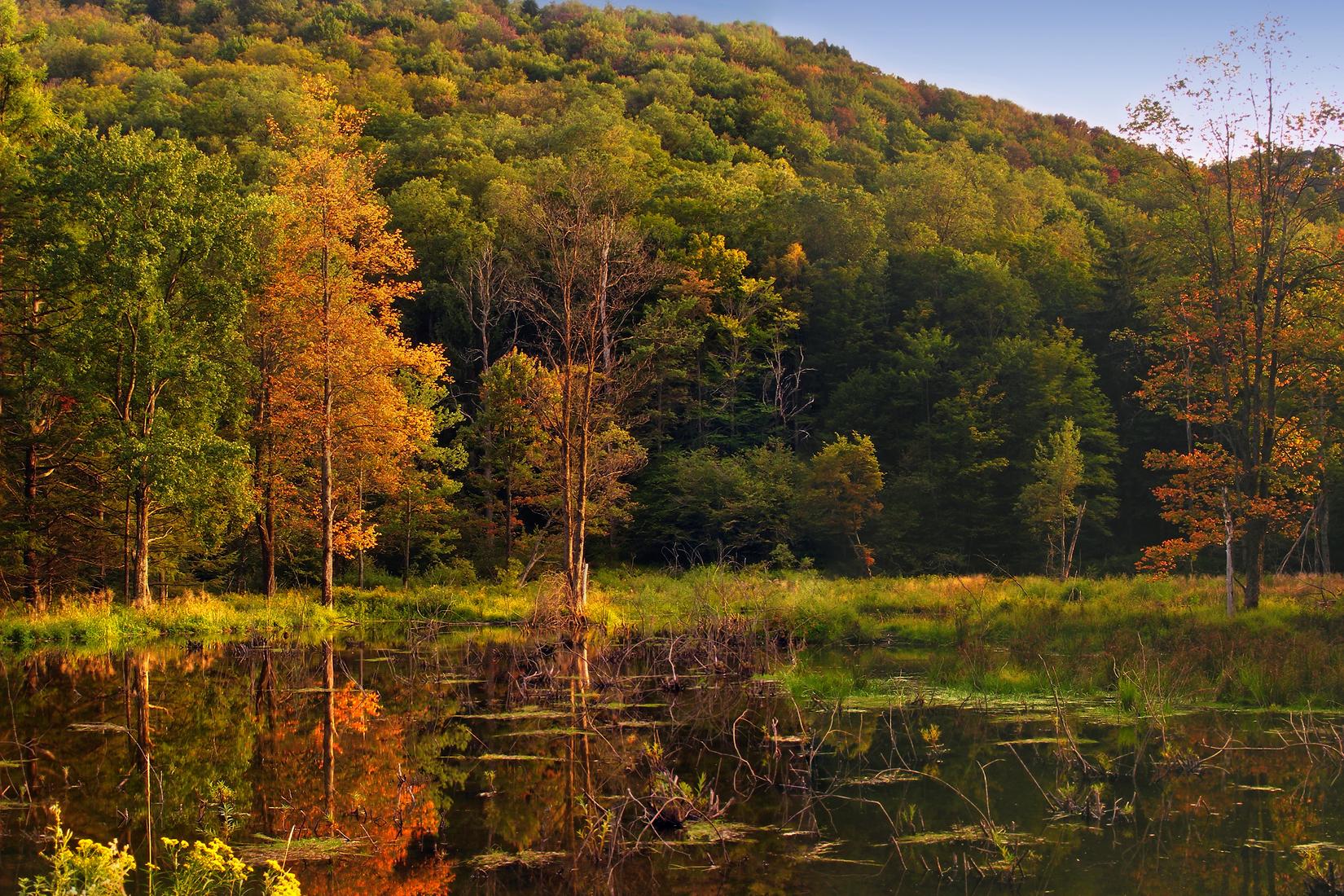 Sandee - Lyman Run State Park