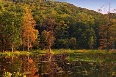 Sandee Lyman Run State Park Photo