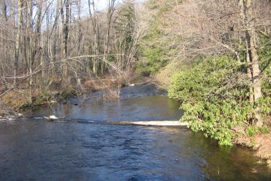 Sandee Black Moshannon State Park