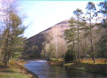 Sandee - Ole Bull State Park