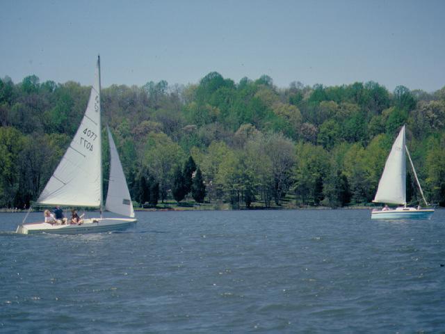 Sandee - Gifford Pinchot State Park