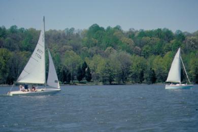 Sandee Gifford Pinchot State Park Photo