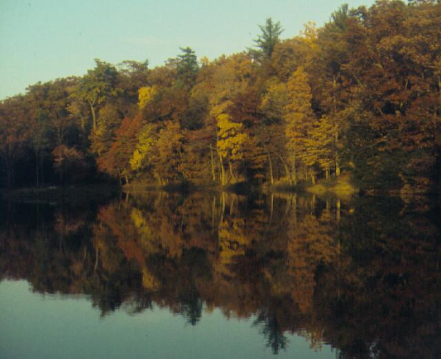 Sandee - HomePage / Newville