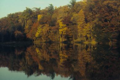 Sandee Colonel Denning State Park Photo