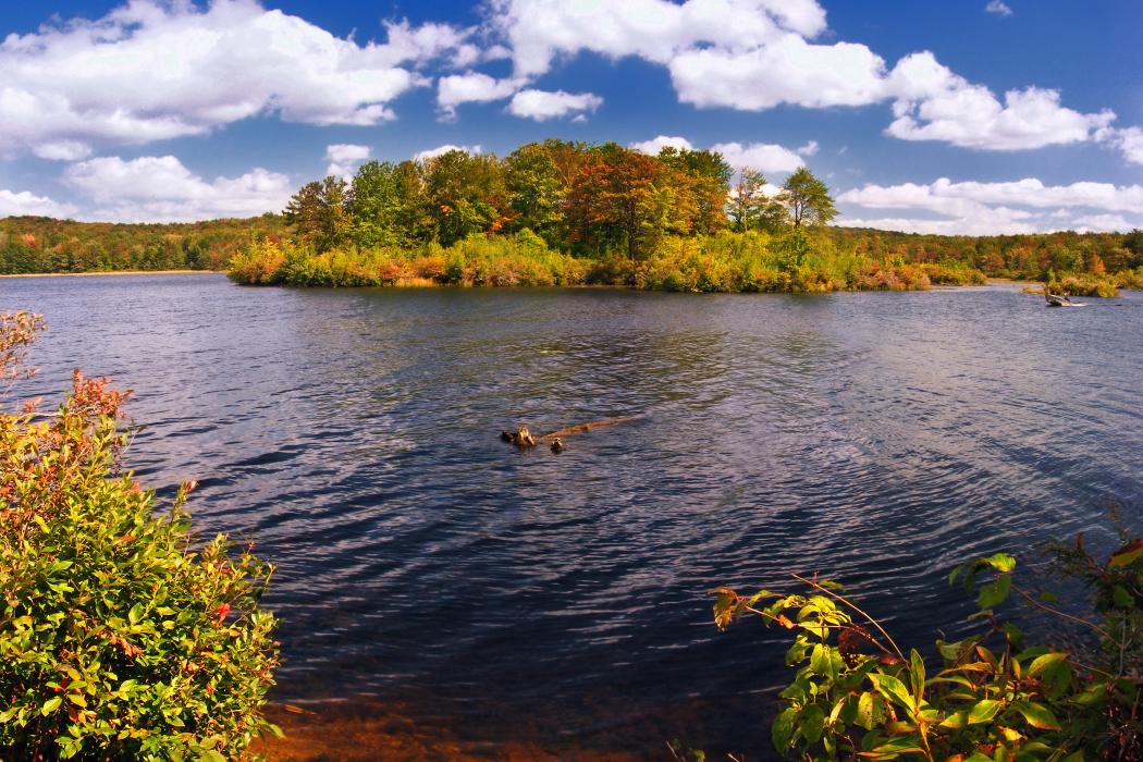 Sandee Gouldsboro State Park Photo