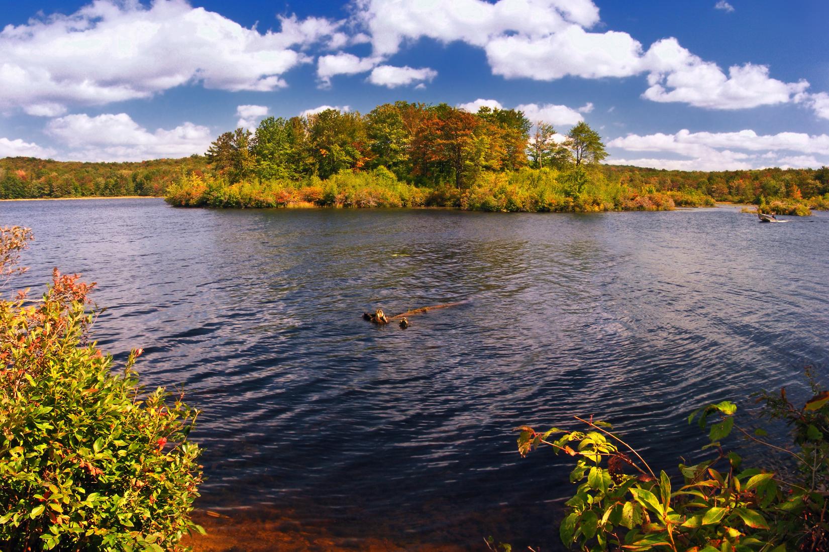 Sandee - Gouldsboro State Park