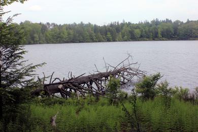 Sandee Promised Land State Park