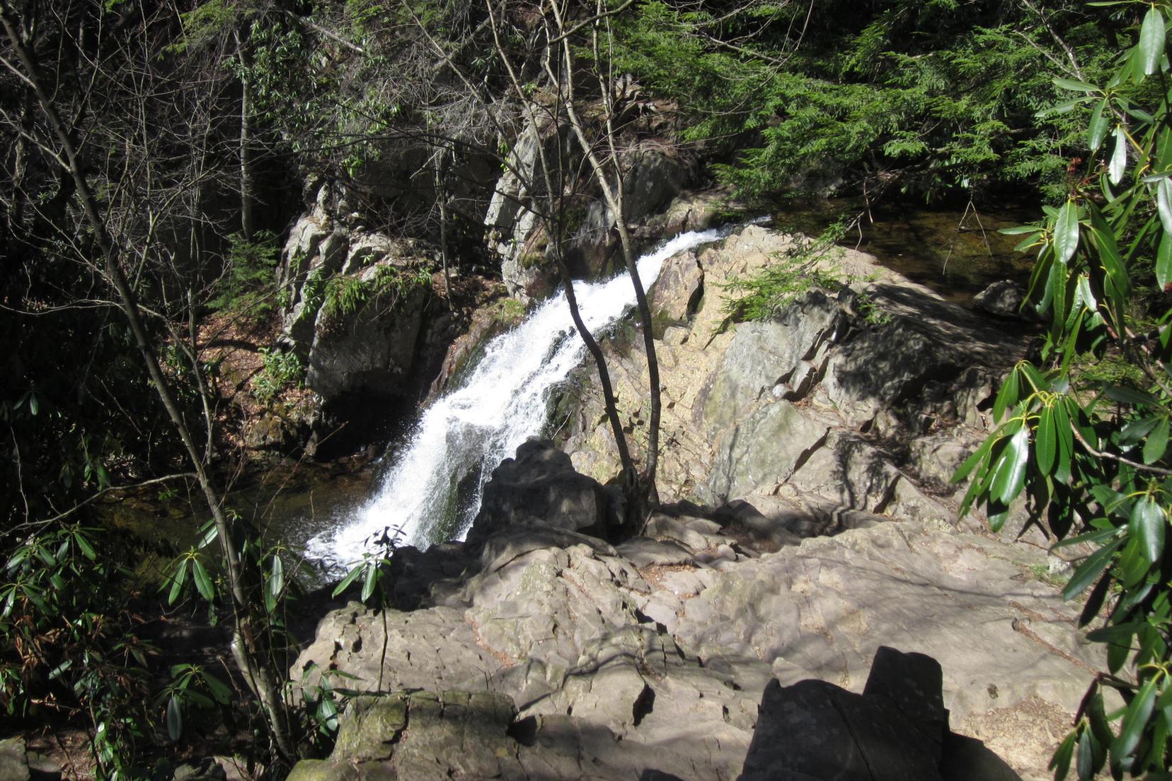 Sandee - Hickory Run State Park