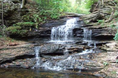 Sandee Ricketts Glen State Park