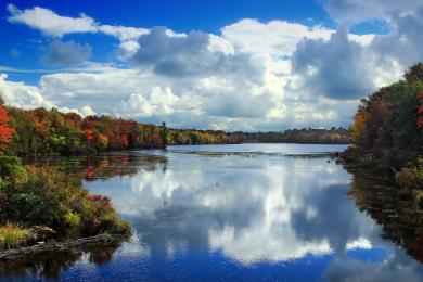 Sandee Tobyhanna State Park